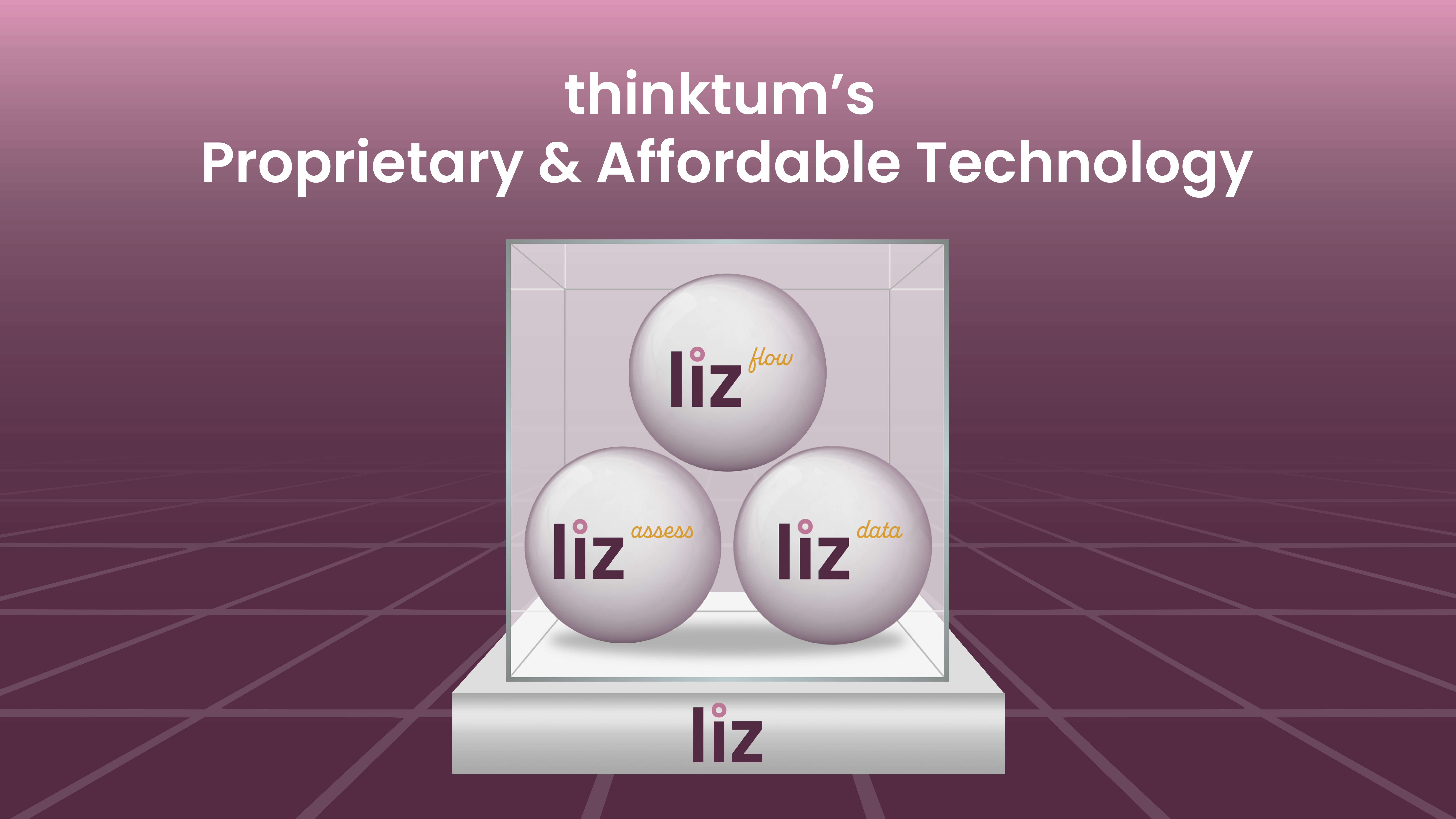 A grid is depicted that shows three balls in a transparent box, each ball is named: liz flow, liz assess and liz data.